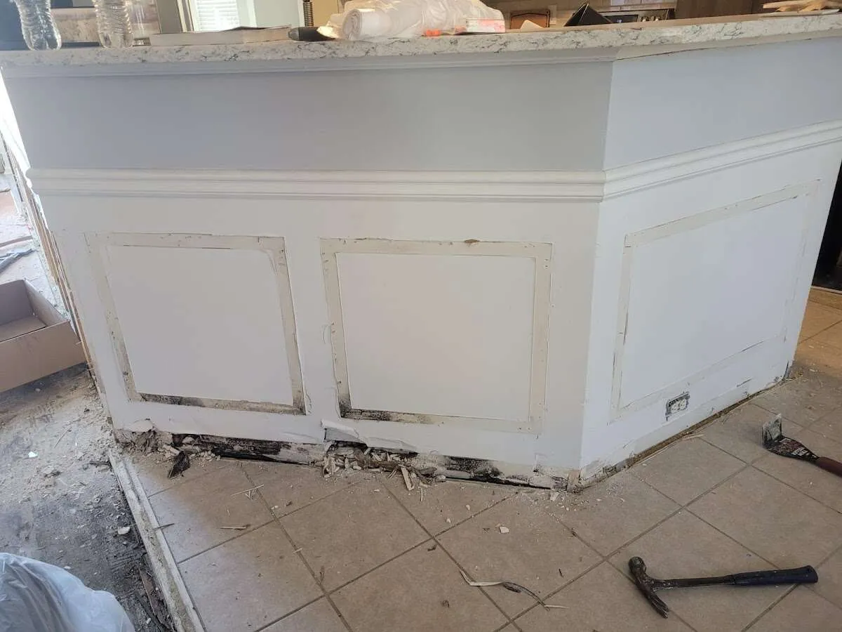 Water damage and mold on kitchen during Sewage Cleanup & Sanitation in Ontario